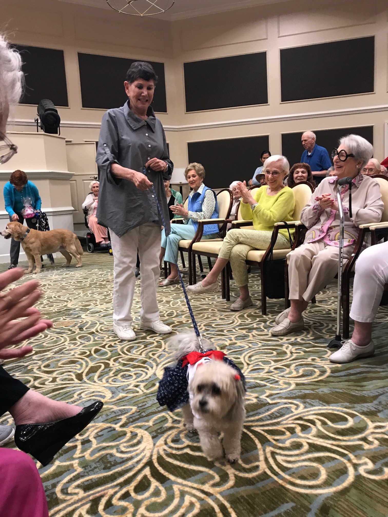Maggie, owned by Devonshire resident June Fuhrman, won Devonshire's Doggy Diva Day